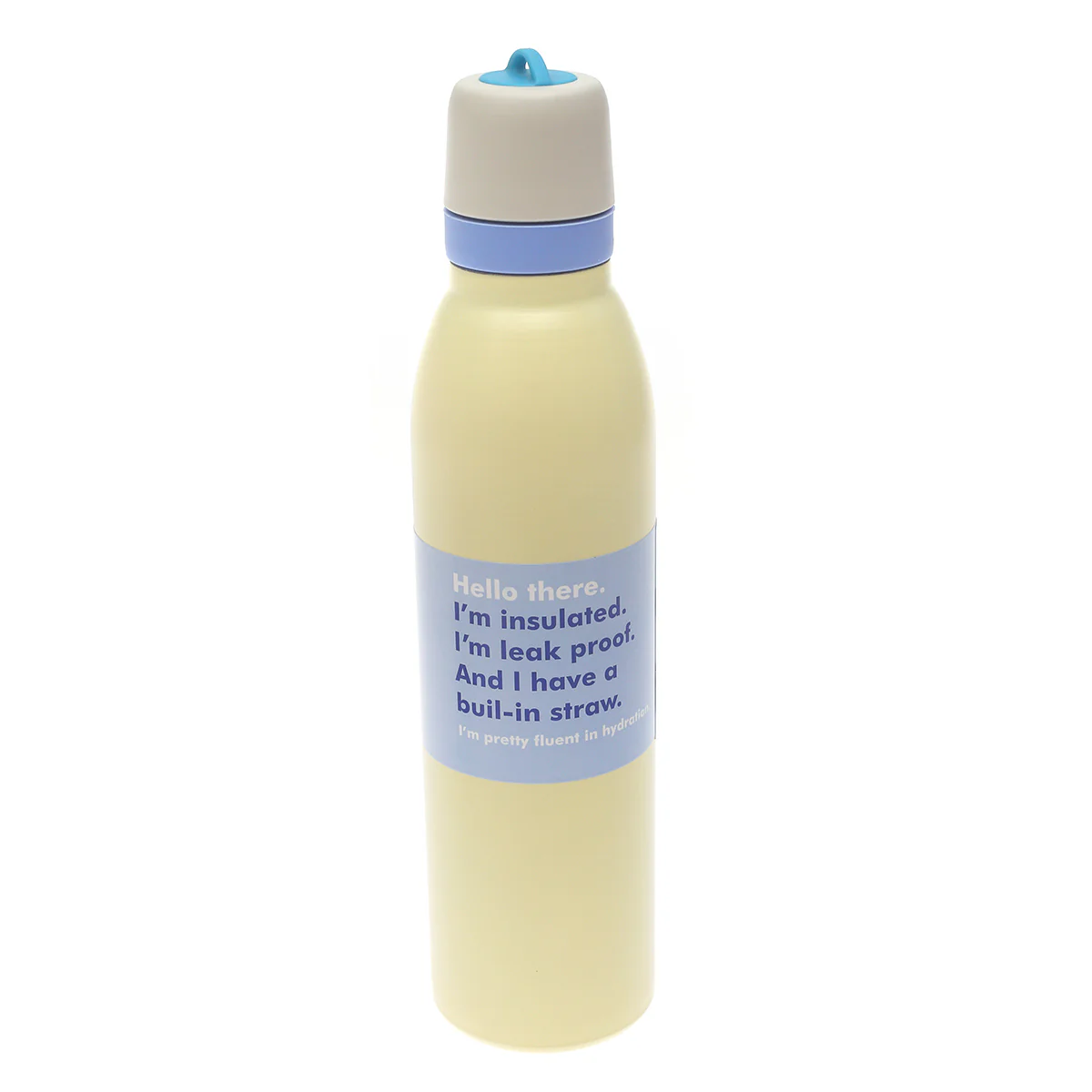 700 ml Insulated Leak-Proof Flask | Stainless Steel Water Bottle with Built-In Straw