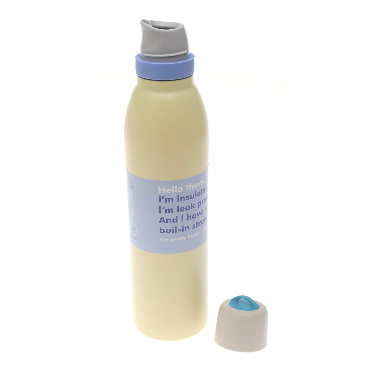 700 ml Insulated Leak-Proof Flask | Stainless Steel Water Bottle with Built-In Straw - Image 2