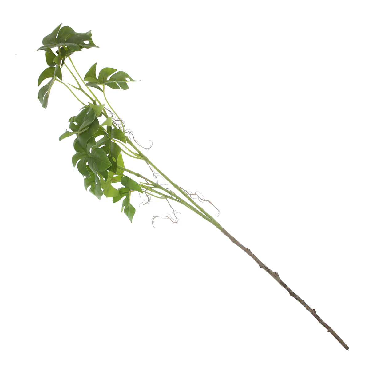 Mini Monster Leaf Filler – Artificial Green Stem - Image 2