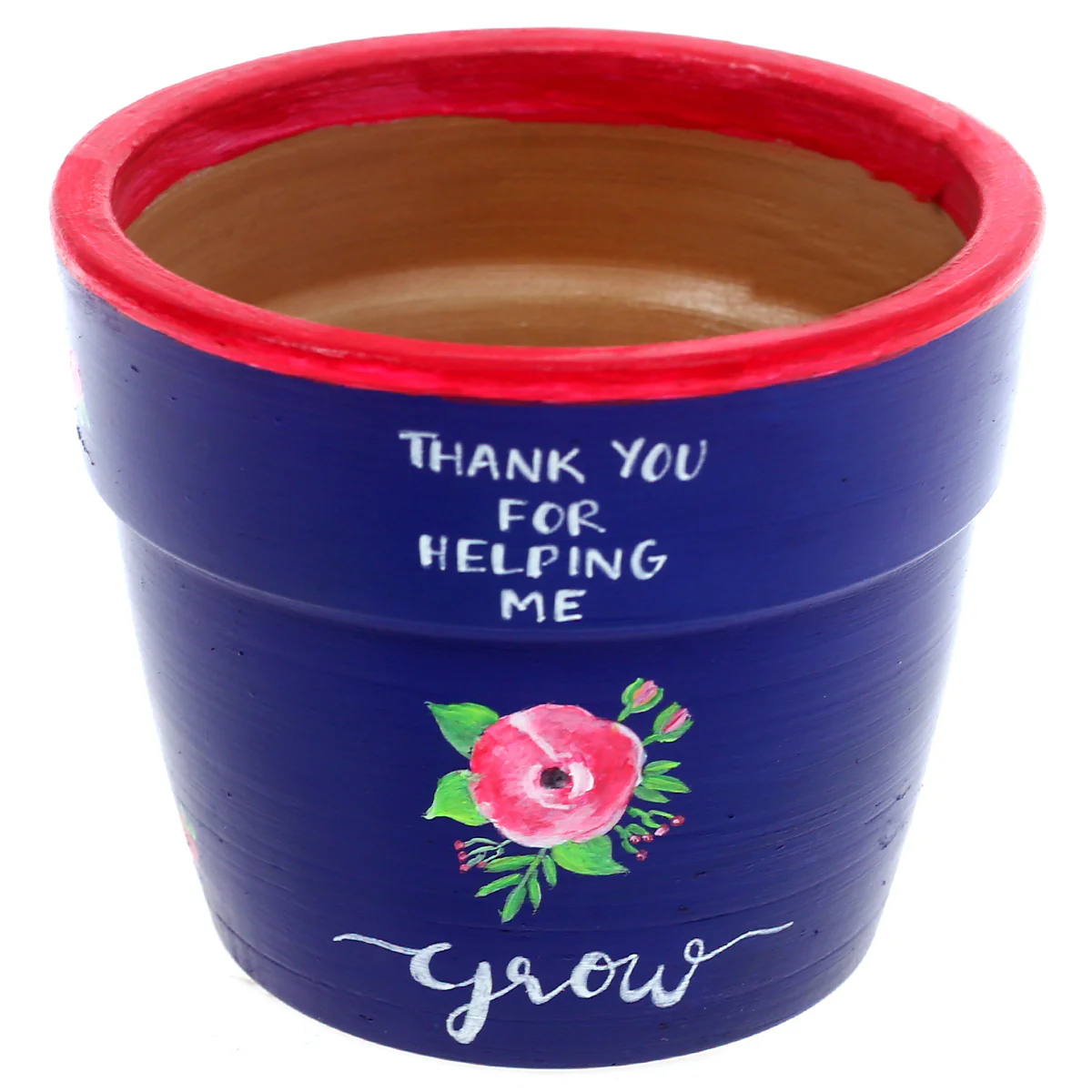 Pot with Plant and Grow Kit Rose Blue