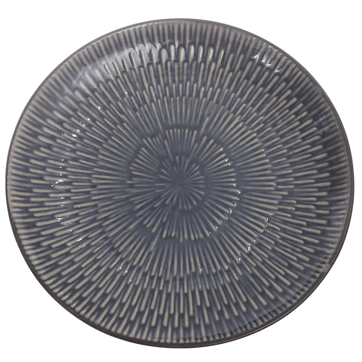 Quarter Plate Blue 8.5 Inch Sds-05 - Image 2